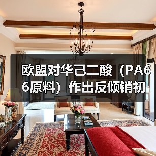 欧盟对华己二酸（PA66原料）作出反倾销初裁 来源：互联网 2025-11-17（图3）