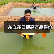东洋在日提高产品售价（图3）