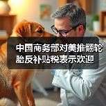 中国商务部对美推翻轮胎反补贴税表示欢迎（图2）