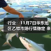 行业：11月7日华东地区乙醇市场行情稳定 来源：互联网 2025-11-07（图3）