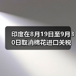 印度在8月19日至9月30日取消棉花进口关税 来源：互联网 2025-08-19（图2）