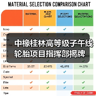 中橡桂林高等级子午线轮胎项目指挥部揭牌(图4) 中橡桂林高等级子午线轮胎项目指挥部揭牌(图4)