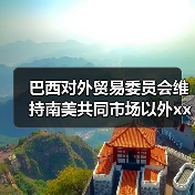 巴西对外贸易委员会维持南美共同市场以外xx天胶10.8%关税