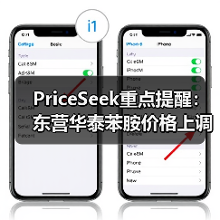 PriceSeek重点提醒：东营华泰苯胺价格上调