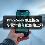 PriceSeek重点提醒：东营华泰苯胺价格上调 来源：互联网 2025-11-07（图3）