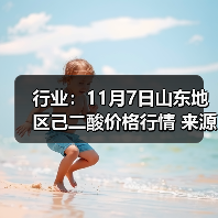 行业：11月7日山东地区己二酸价格行情 来源：互联网 2025-11-07（图1）