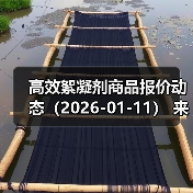 高效絮凝剂商品报价动态（2026-01-11） 来源：互联网 2026-01-17（图4）