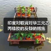 印度对取消对华三元乙丙橡胶的反倾销措施(图4) 印度对取消对华三元乙丙橡胶的反倾销措施(图4)