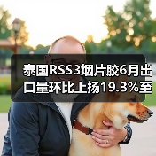 泰国RSS3烟片胶6月出口量环比上扬19.3%至33,456,481公斤（图2）