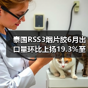 泰国RSS3烟片胶6月出口量环比上扬19.3%至33,456,481公斤（图4）