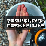 泰国RSS3烟片胶6月出口量环比上扬19.3%至33,456,481公斤（图2）