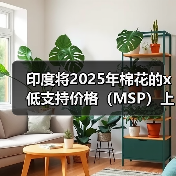 印度将2025年棉花的x低支持价格（MSP）上调8.3% 来源：互联网 2025-05-30（图4）