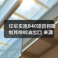 印尼实施B40项目将限制其棕榈油出口 来源：互联网 2025-01-14（图1）