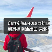 印尼实施B40项目将限制其棕榈油出口 来源：互联网 2025-01-14（图4）