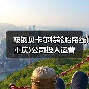 鞍钢贝卡尔特轮胎帘线(重庆)公司投入运营(图4) 鞍钢贝卡尔特轮胎帘线(重庆)公司投入运营(图4)