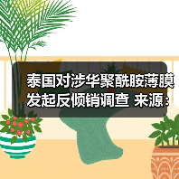 泰国对涉华聚酰胺薄膜发起反倾销调查 来源：互联网 2025-08-01（图1）