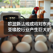 欧盟新法规或将对东南亚橡胶行业产生巨大的冲击 来源：互联网 2024-06-27（图3）
