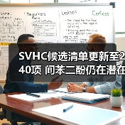 SVHC候选清单更新至240项 间苯二酚仍在潜在候选清单 来源：互联网 2024-06-27（图1）