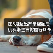 在5月超出产量配额后 俄罗斯誓言将履行OPEC 目标 来源：互联网 2024-06-14（图4）