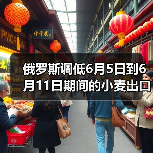 俄罗斯调低6月5日到6月11日期间的小麦出口关税