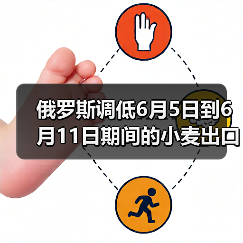 俄罗斯调低6月5日到6月11日期间的小麦出口关税 来源：互联网 2024-06-04（图2）