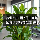 行业：11月7日山东地区异丁醛行情盘整 来源：互联网 2025-11-07（图3）