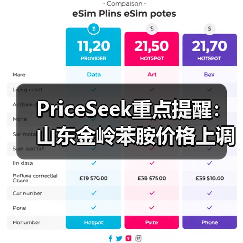 PriceSeek重点提醒：山东金岭苯胺价格上调100元 来源：互联网 2025-11-07（图2）