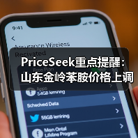 PriceSeek重点提醒：山东金岭苯胺价格上调100元 来源：互联网 2025-11-07（图4）