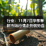 行业：11月7日华东苯酐市场行情走势弱势盘整 来源：互联网 2025-11-07（图1）