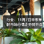 行业：11月7日华东苯酐市场行情走势弱势盘整 来源：互联网 2025-11-07（图3）