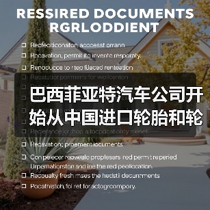 巴西菲亚特汽车公司开始从中国进口轮胎和轮辋（图3）