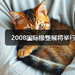 2008国际橡塑展将举行(图3) 2008国际橡塑展将举行(图3)