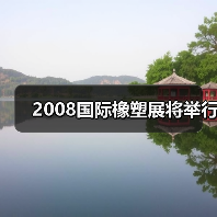 2008国际橡塑展将举行(图4) 2008国际橡塑展将举行(图4)