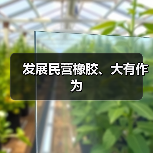 发展民营橡胶、大有作为
