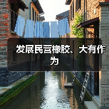 发展民营橡胶、大有作为(图2) 发展民营橡胶、大有作为(图2)
