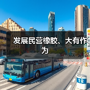 发展民营橡胶、大有作为(图3) 发展民营橡胶、大有作为(图3)