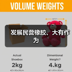 发展民营橡胶、大有作为(图4) 发展民营橡胶、大有作为(图4)