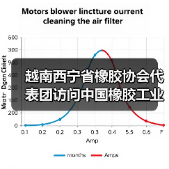 越南西宁省橡胶协会代表团访问中国橡胶工业协会（图2）
