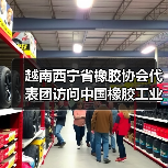 越南西宁省橡胶协会代表团访问中国橡胶工业协会（图3）