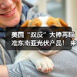 美国“双反”大棒再瞄准东南亚光伏产品！ 来源：互联网 2024-04-29（图2）