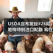 USDA宣布发放#26陆地棉特别进口配额 将在4月18日生效 来源：互联网 2024-04-12（图4）
