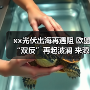xx光伏出海再遇阻 欧盟“双反”再起波澜 来源：互联网 2024-04-09（图3）