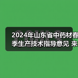 2024年山东省中药材春季生产技术指导意见 来源：互联网 2024-04-08（图3）