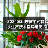 2024年山东省中药材春季生产技术指导意见 来源：互联网 2024-04-08（图4）