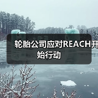 轮胎公司应对REACH开始行动(图4) 轮胎公司应对REACH开始行动(图4)