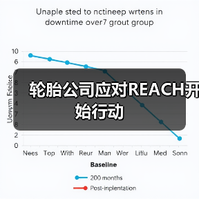 轮胎公司应对REACH开始行动(图4) 轮胎公司应对REACH开始行动(图4)