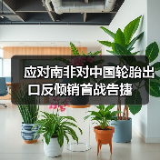 应对南非对中国轮胎出口反倾销首战告捷（图4）