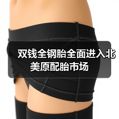 双钱全钢胎全面进入北美原配胎市场（图2）