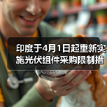 印度于4月1日起重新实施光伏组件采购限制措施 来源：互联网 2024-04-03（图2）