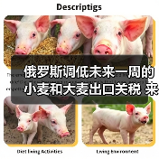 俄罗斯调低未来一周的小麦和大麦出口关税